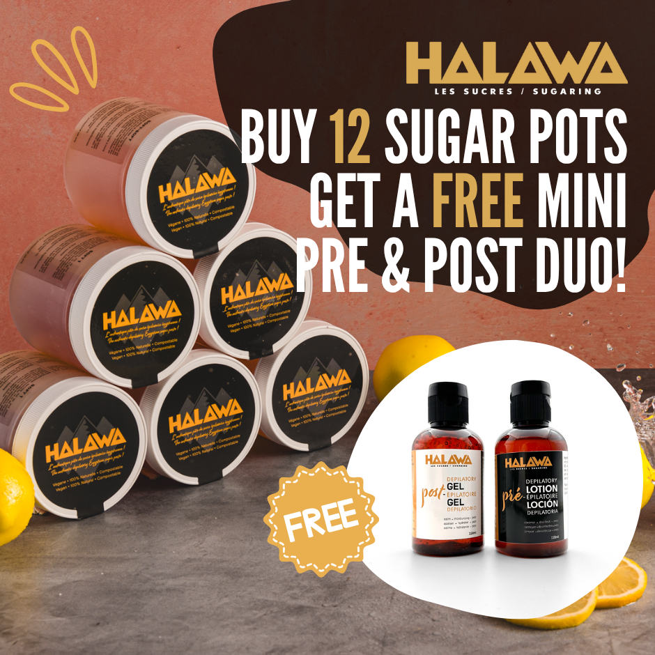 Buy 12 Sugar Pots – Get a Free Mini Duo!