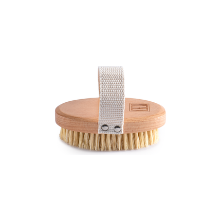 Brosse à sec pour le corps CECO