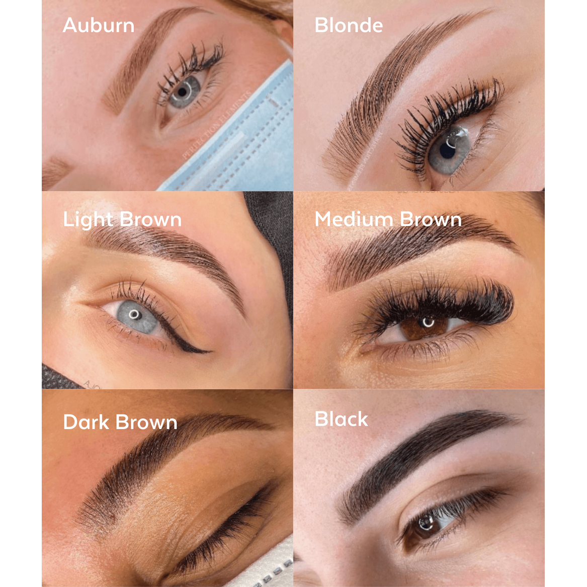 SUPERCILIUM Brow Henna Kit