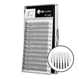 Blink 3D/W Lashes
